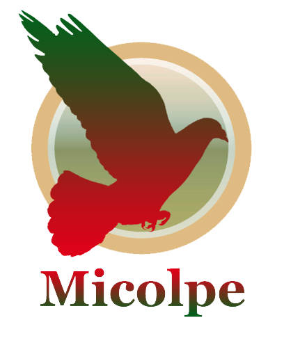Micolpe logo